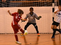 mini-2017-01-29-DSC_4198